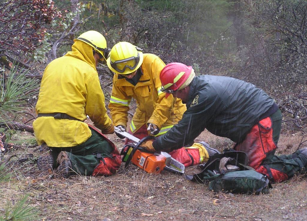 loading Gallery/Training/Chainsaw, Nov 2011/fullsize/111105chaninsaw 003.JPG... or select a thumbnail
